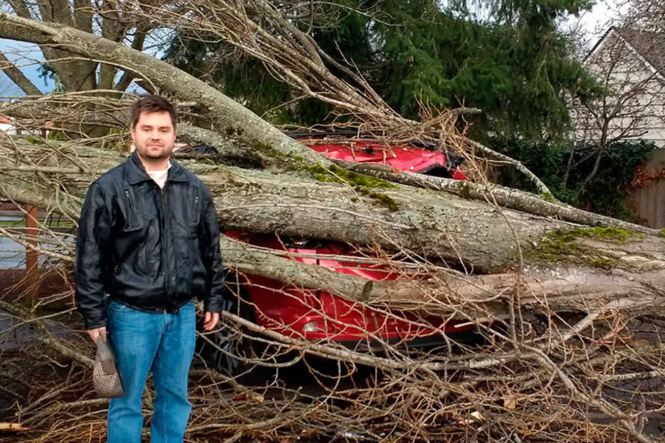 Tree damages car after windstorm
