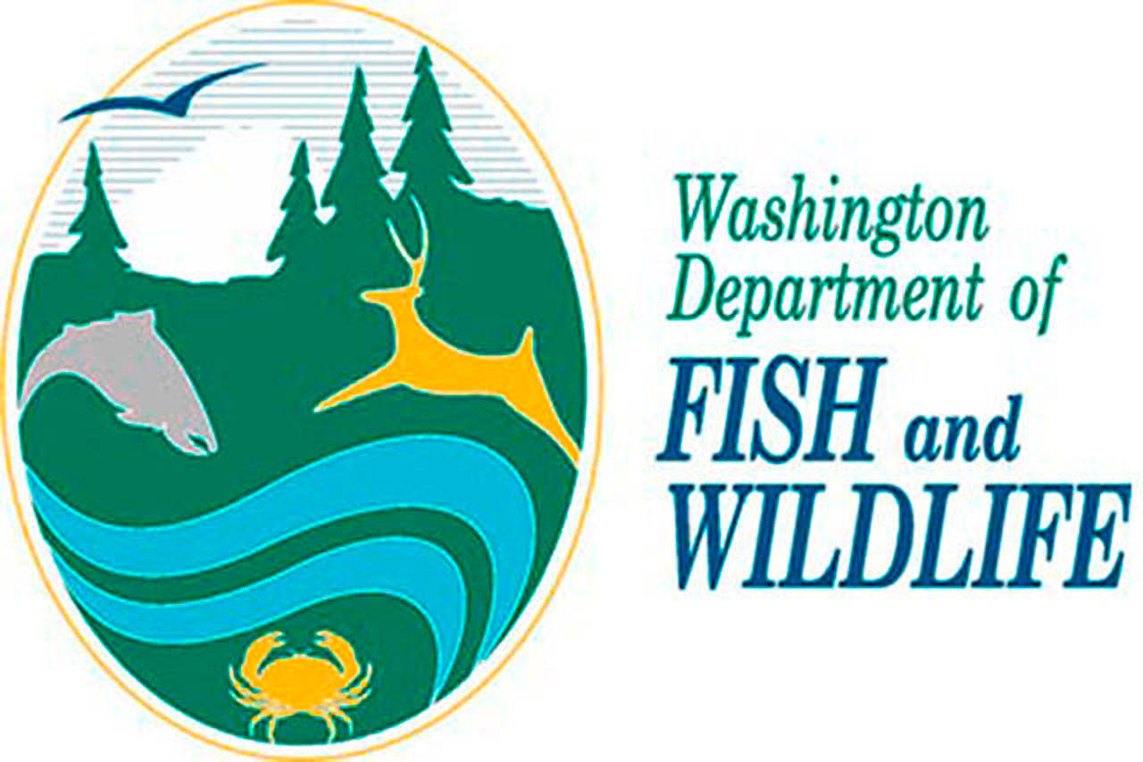 Take WDFW survey on supporting sustainable fish populations