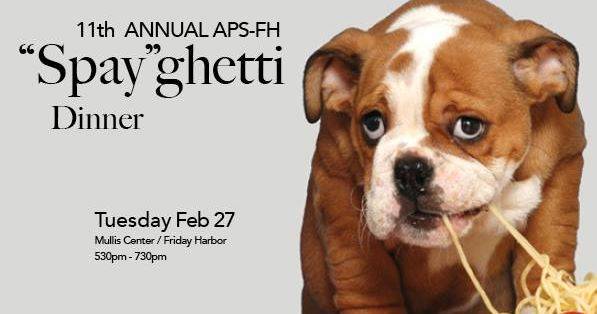 Animal Protection Society holds annual ‘spaygetti’ dinner on Feb. 27