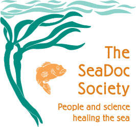 SeaDoc lecture to answer why salmon are dying in the Salish Sea
