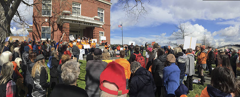 Contributed image/Kimberly Mayer                                March For Our Lives took place on March 24 in Friday Harbor.