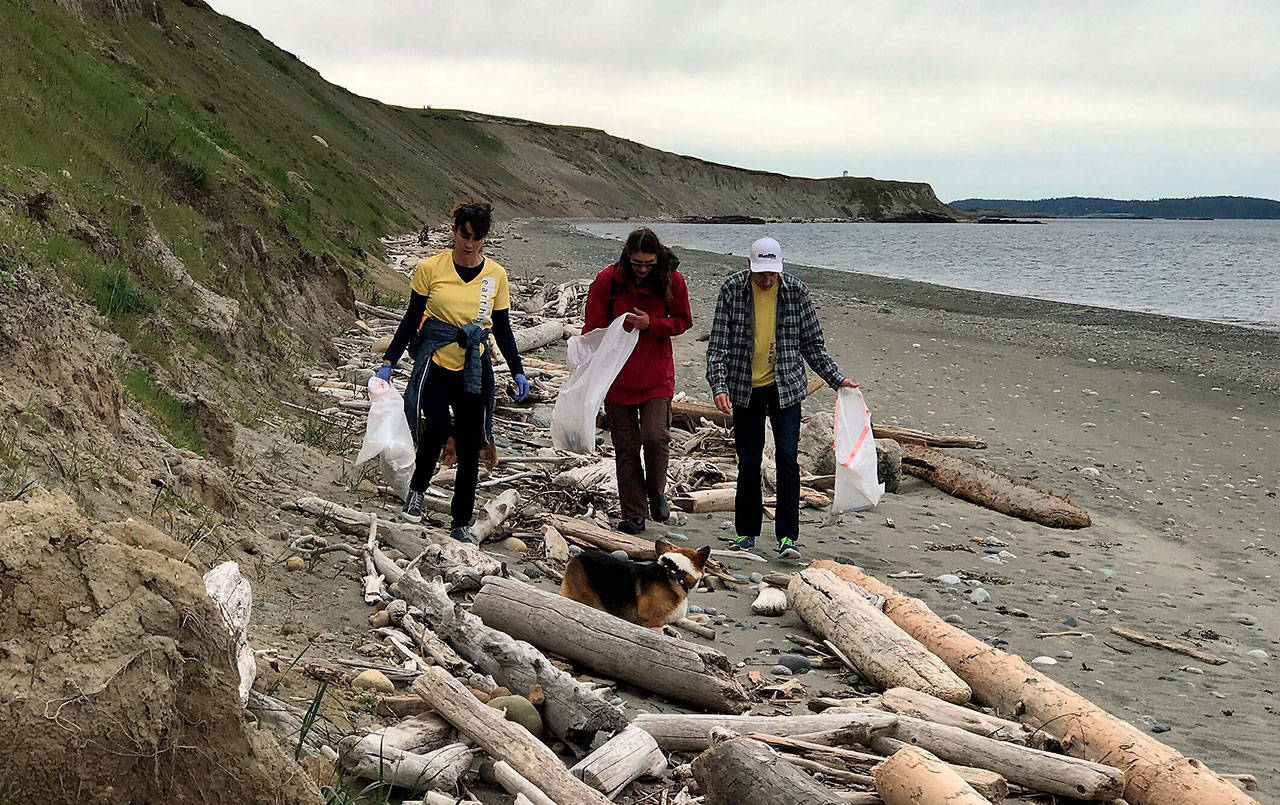 Contributed photo/Great Islands Clean-Up                                Volunteers pick up litter on San Juan Island’s South Beach during a previous Great Islands Clean-Up.