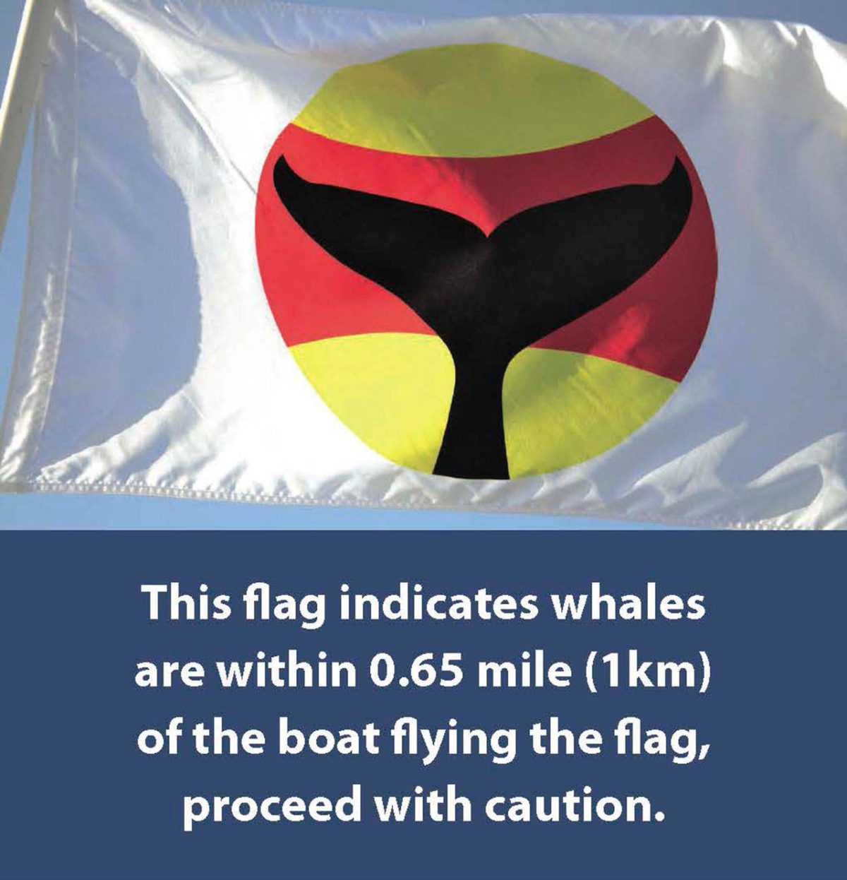 San Juan County launches Whale Warning flags to protect local whales