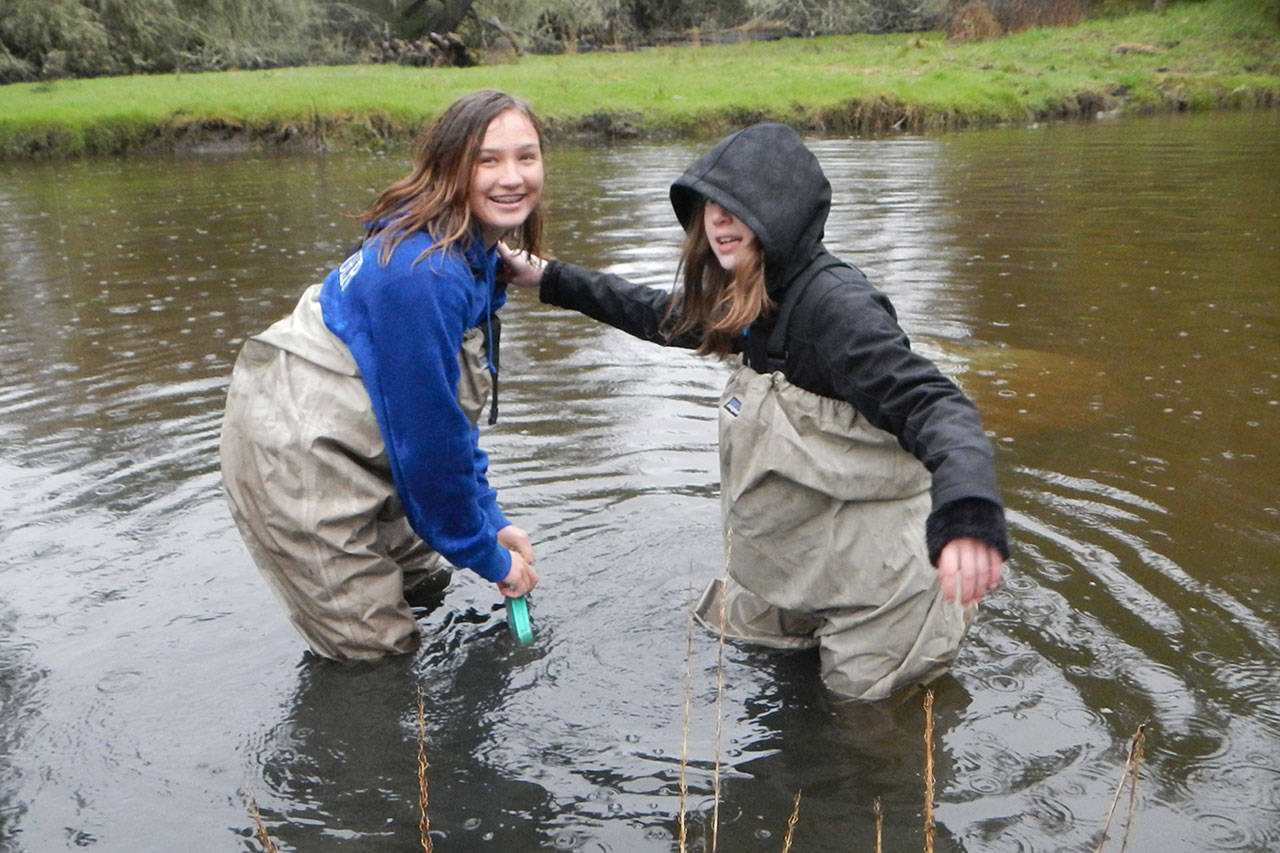 Contributed photo/Jenny Roberts                                Students doing field work.