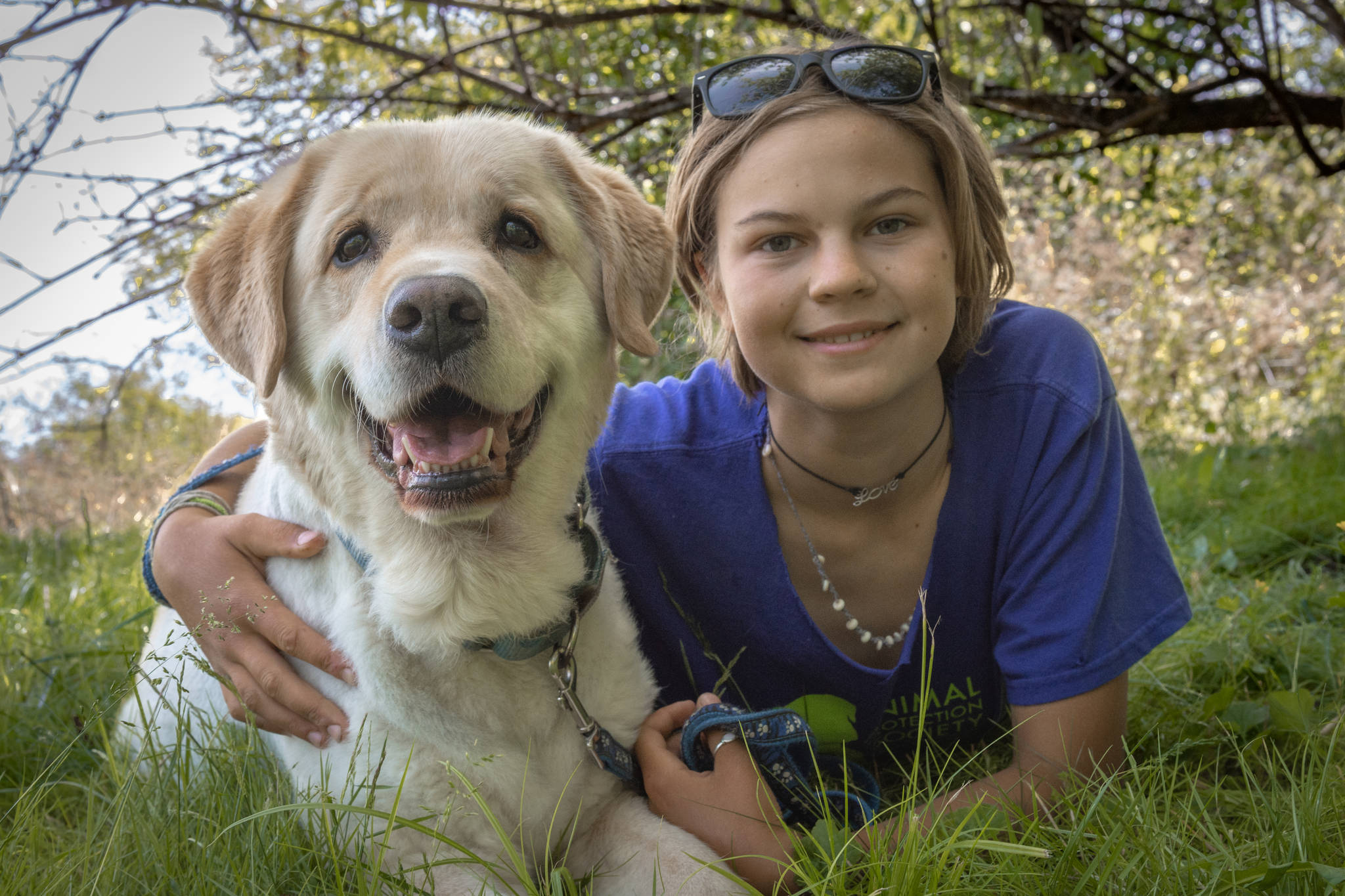 Animal Protection Society presents volunteer of the month