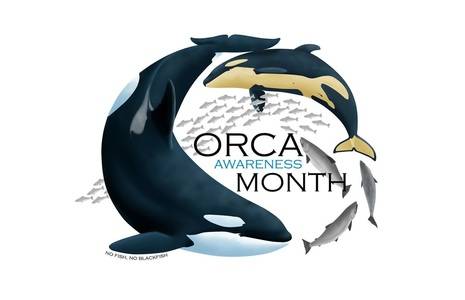 Orca Salmon Alliance to deliver signatures of support for orca recovery