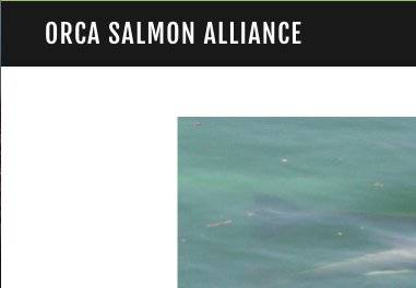 Orca Salmon Alliance delivers comments to governor, Orca task force