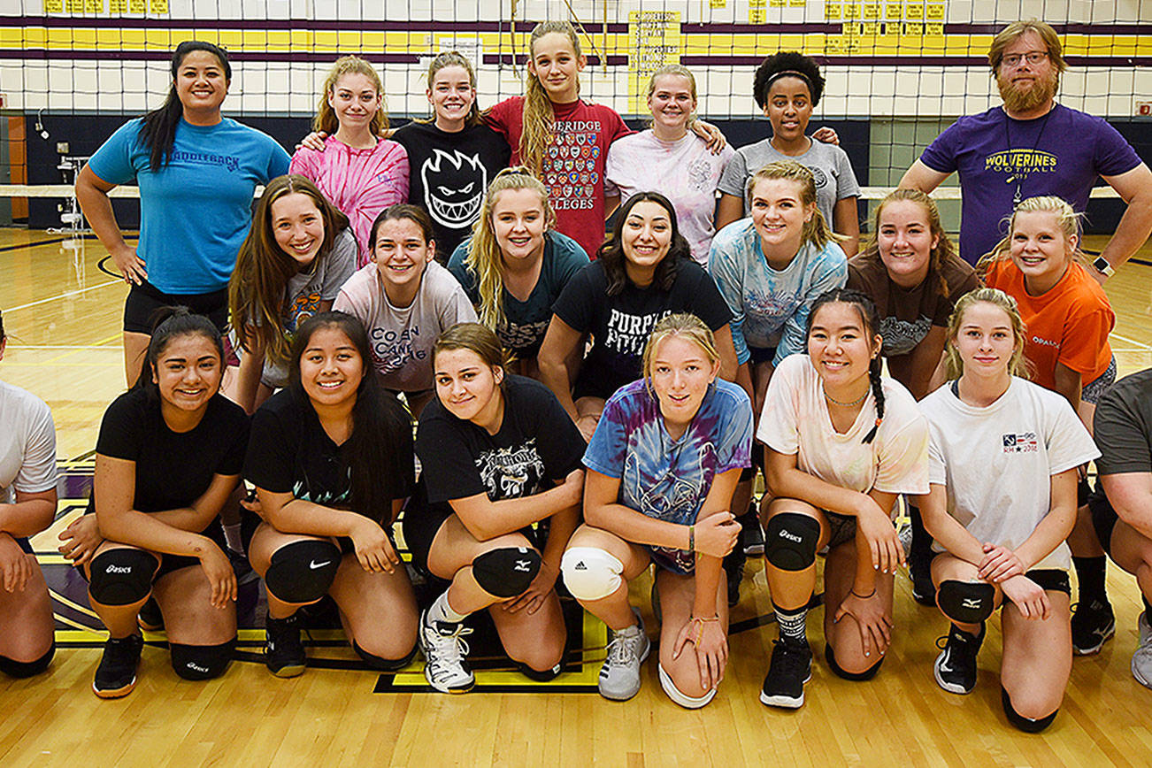 Big turnover for Wolverines volleyball | Sports preview