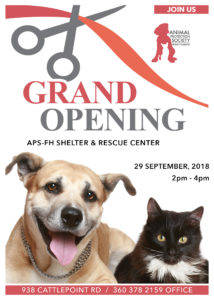New animal shelter facility grand opening celebration
