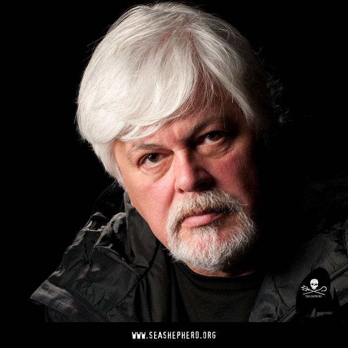 Contributed photo                                Capt. Paul Watson is the founder of both Greenpeace and Sea Shepherd.