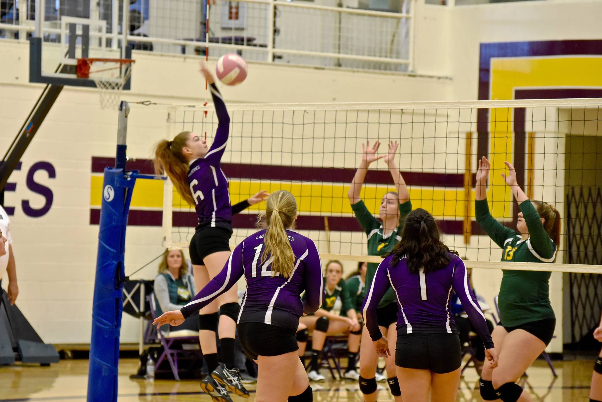 Friday Harbor volleyball update The Journal of the San Juan Islands
