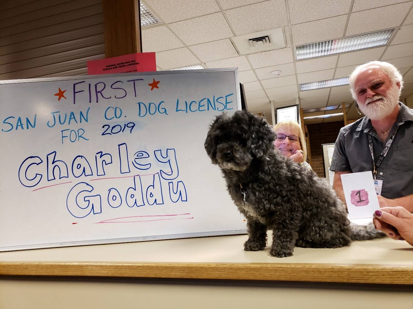 Contributed photo/SJC County                                Auditor’s office employees Jo George and Oren Combs issue 2019 dog tag No. 1 to local canine Charley Goddu.