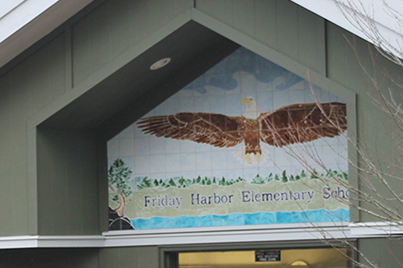 Friday Harbor Elementary School fundraises for new playground equipment | Update