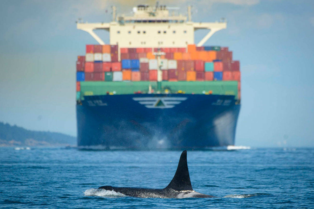 Vessel exhaust’s effect on Southern resident killer whales | Update