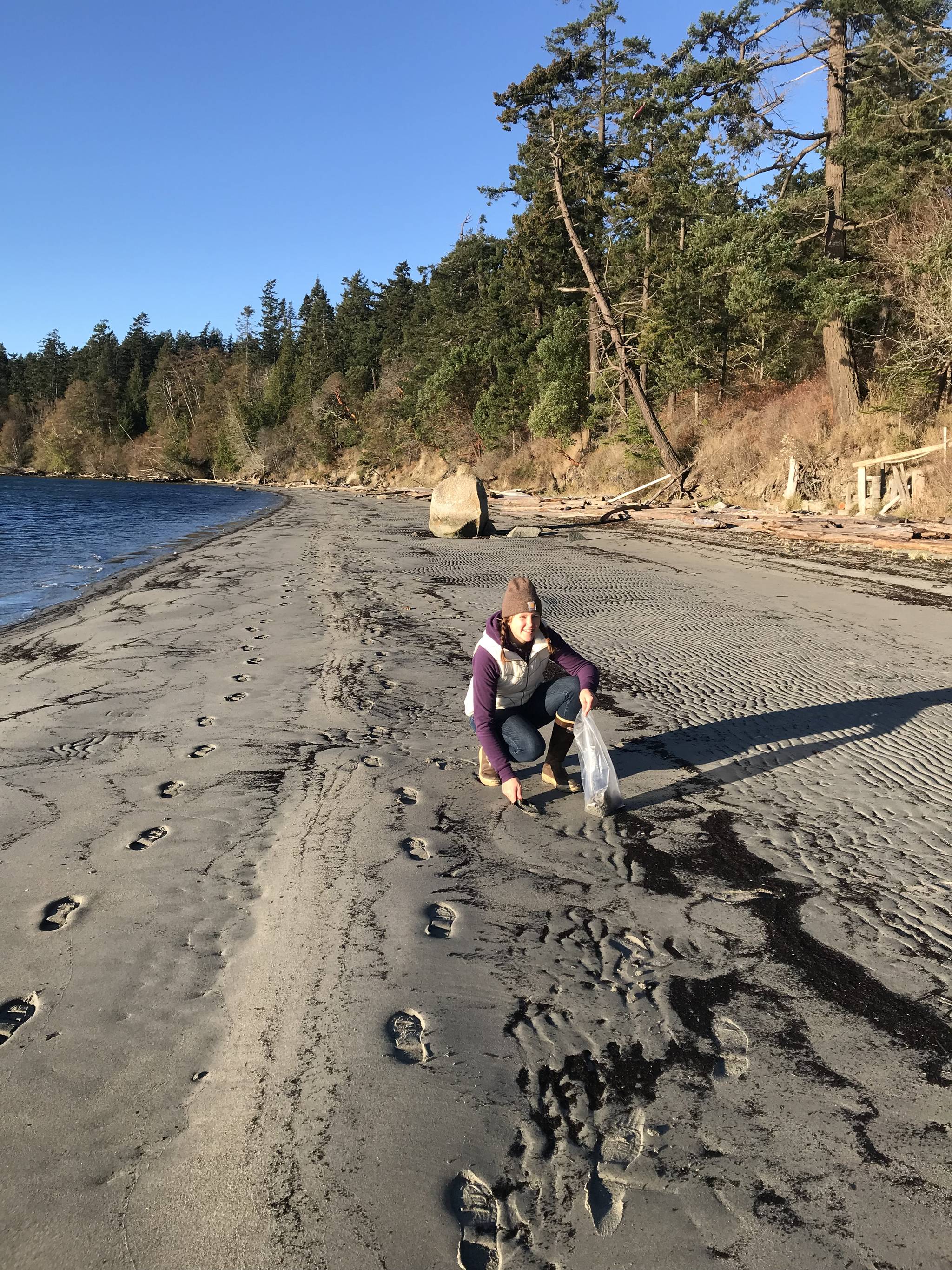 Contributed photo                                Jess Newley, Friends of the San Juans marine program assistant, surveys for Pacific sand lance on Shaw Island.