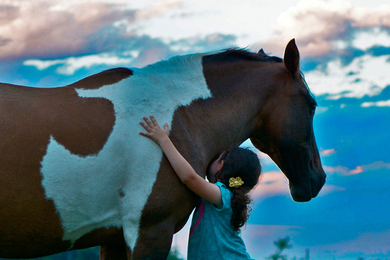 The power of horse hugs