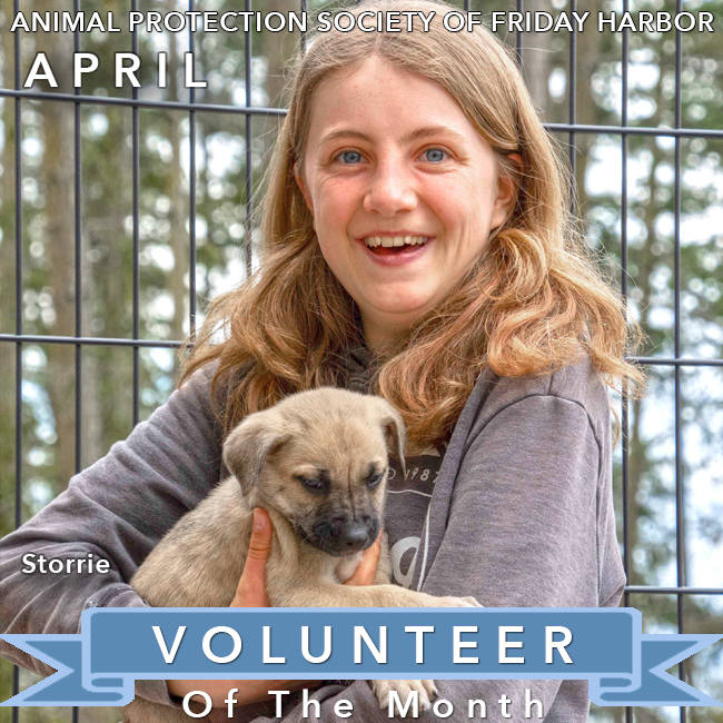 Animal shelter’s April volunteer of the month