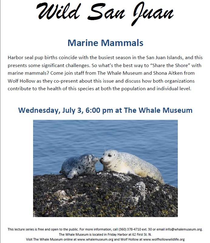 Marine mammals lecture at Whale Museum