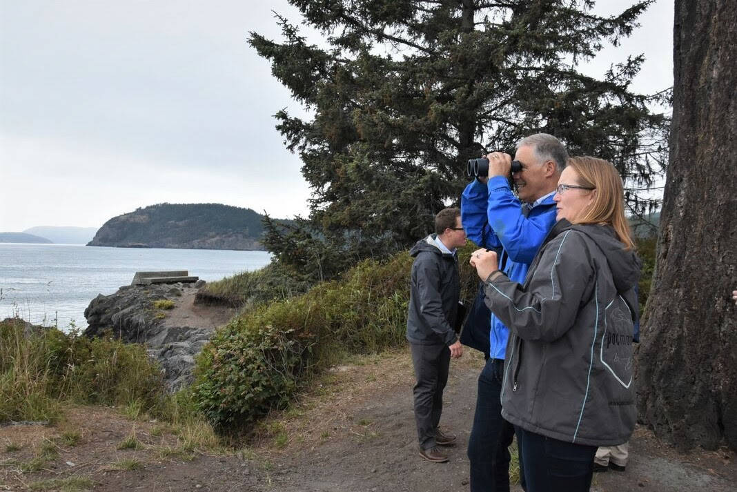 Salmon and recovery efforts grow through natural shoreline restoration, land-based whale watching