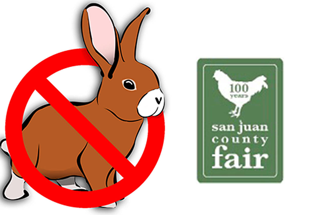 No rabbits at the San Juan County Fair this year