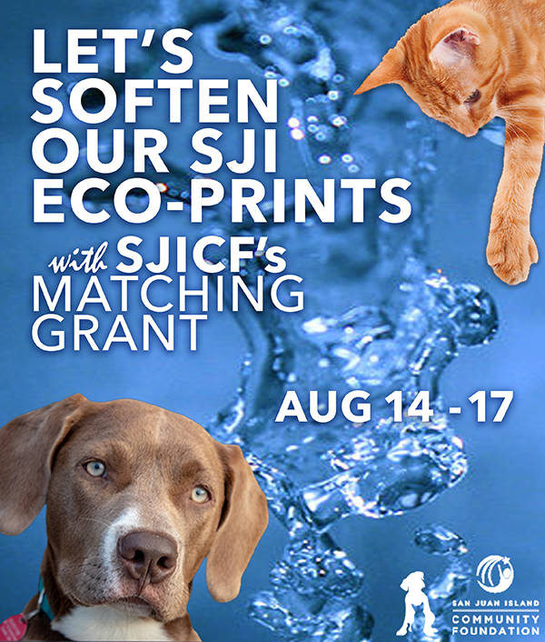 Community foundation and APS-FH raise funds and fun at the fair