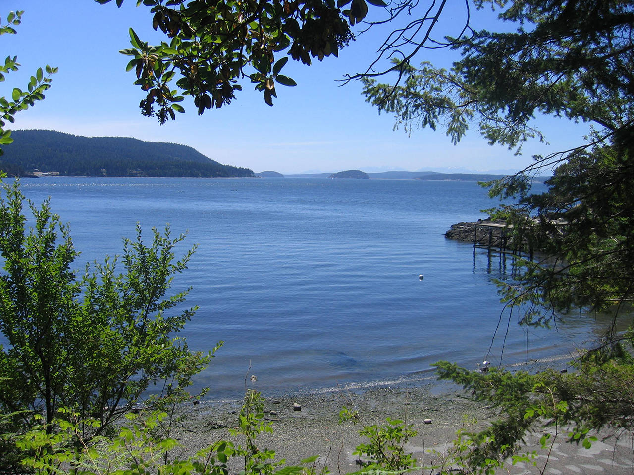 Washington State Parks acquires 134-acre Point Lawrence property on Orcas