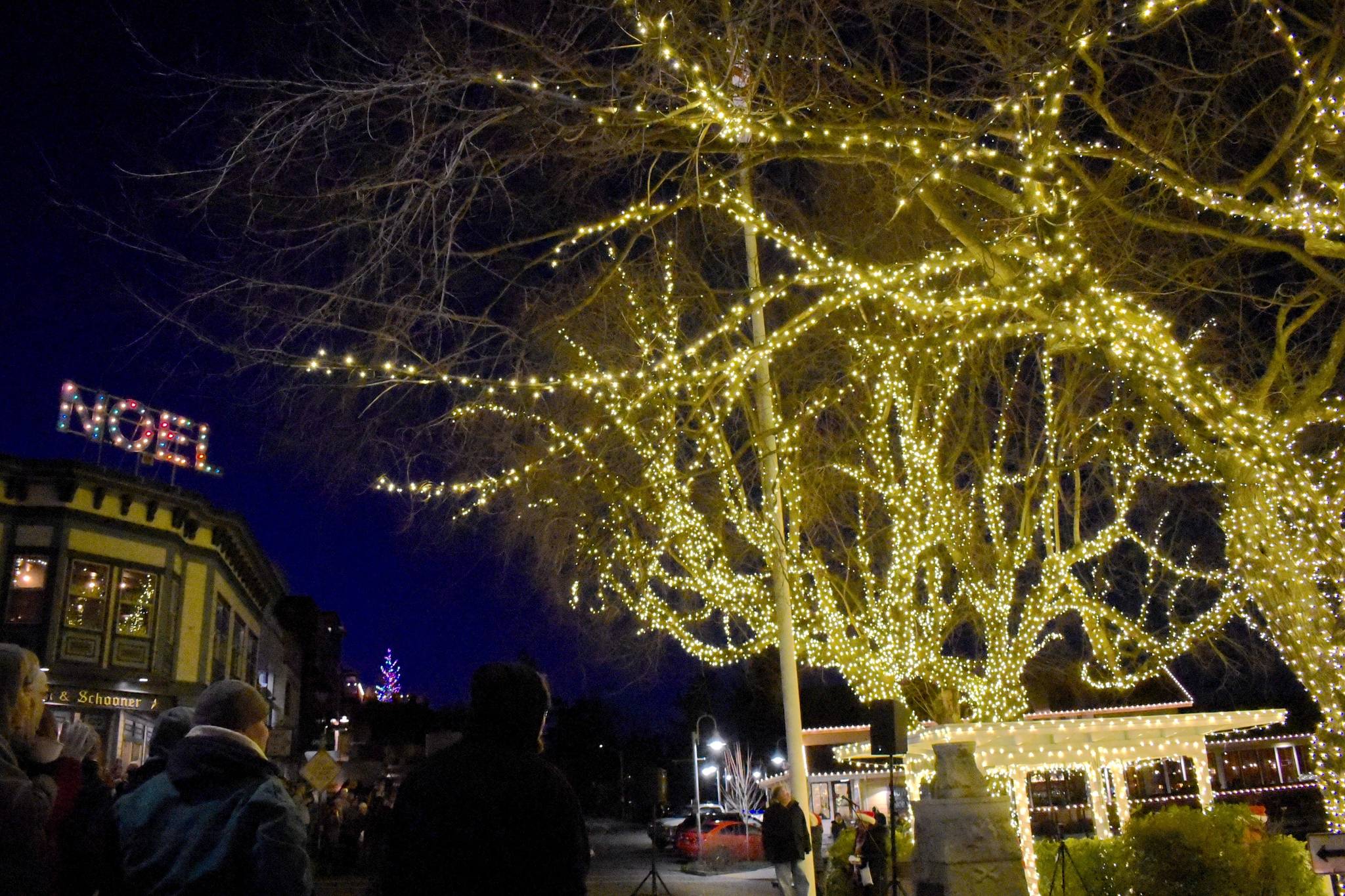 Tate Thomson/staff photo                                Winter Fest kicked off in Friday Harbor with tree lighting, a visit from Santa and Christmas crafts on Saturday, Nov. 30.