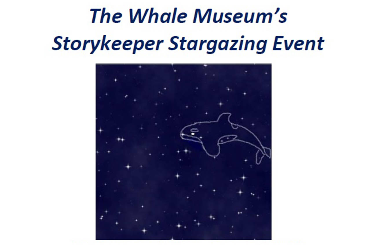 Stargazing with The Whale Museum