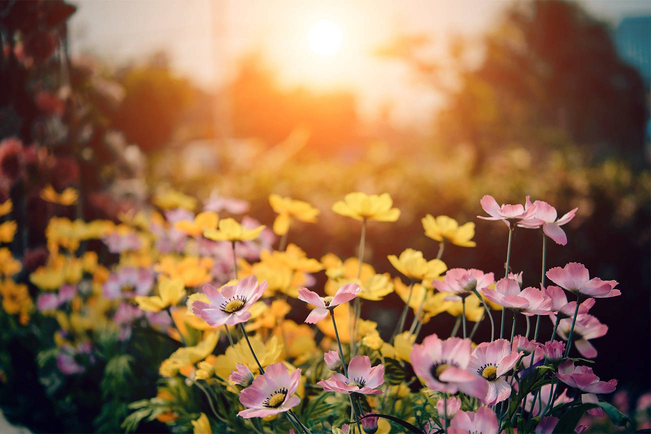 Garden Fever comes to the Mullis Center