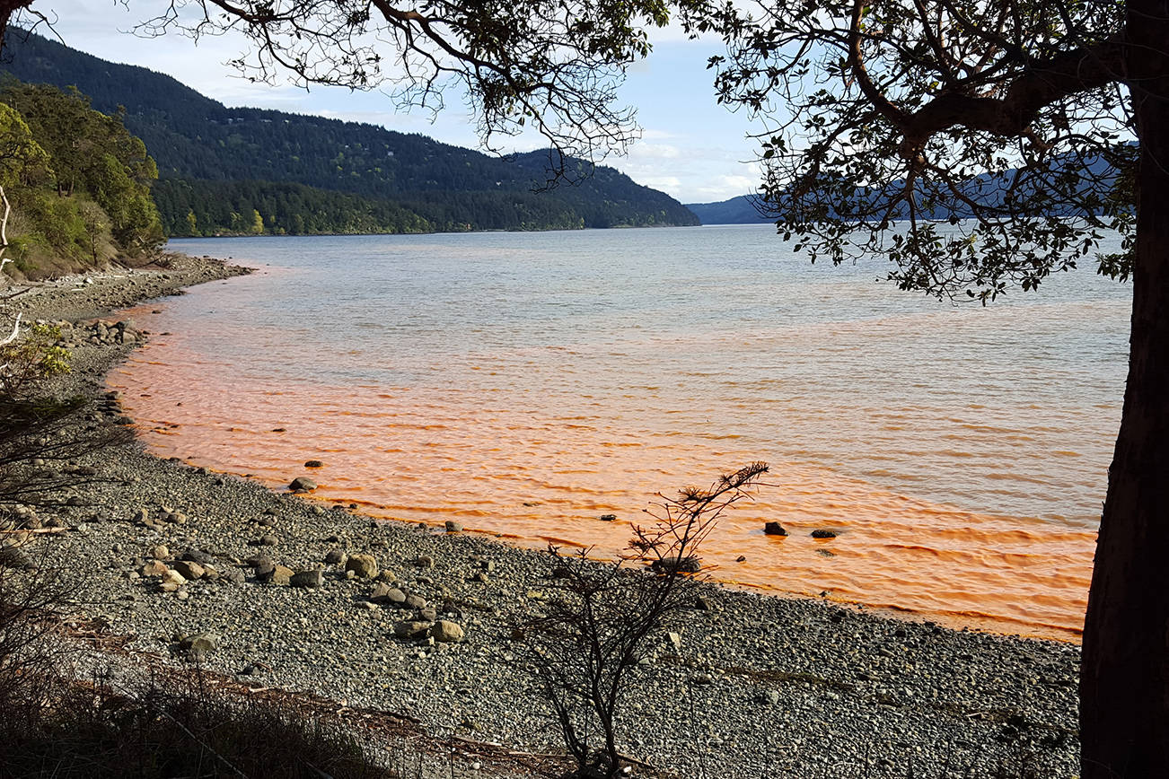 Funding for studying harmful algal blooms