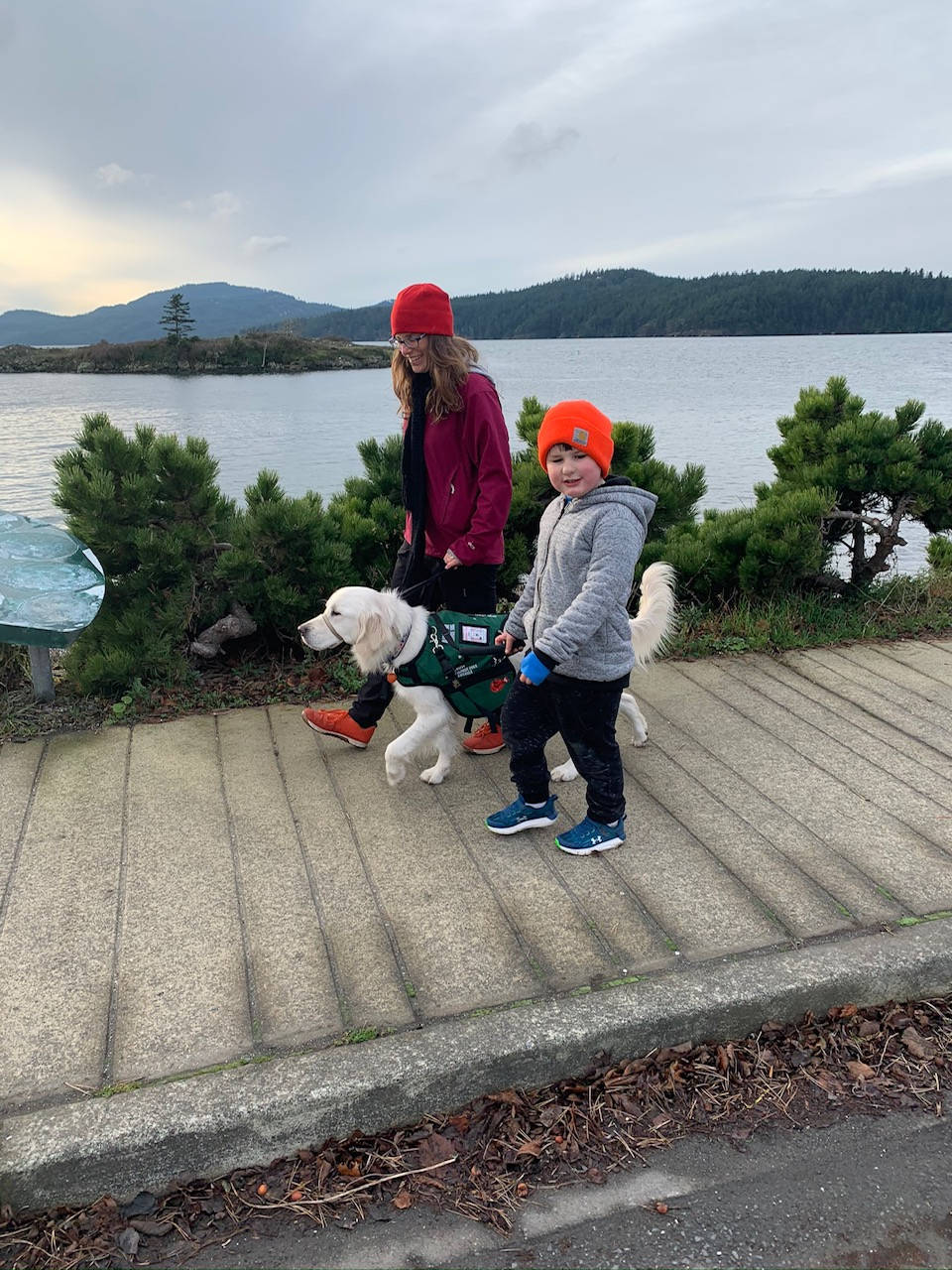 Contributed photo                                Above: Megan, Oly and Ukie.