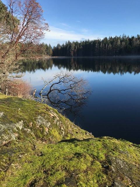 Roche Harbor Highlands. (Contributed photo.)