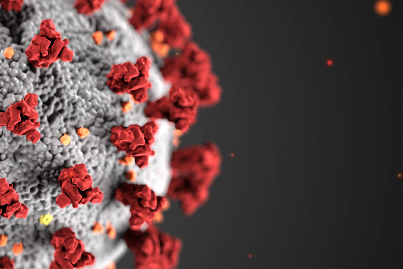 Summary of recent cases in San Juan County