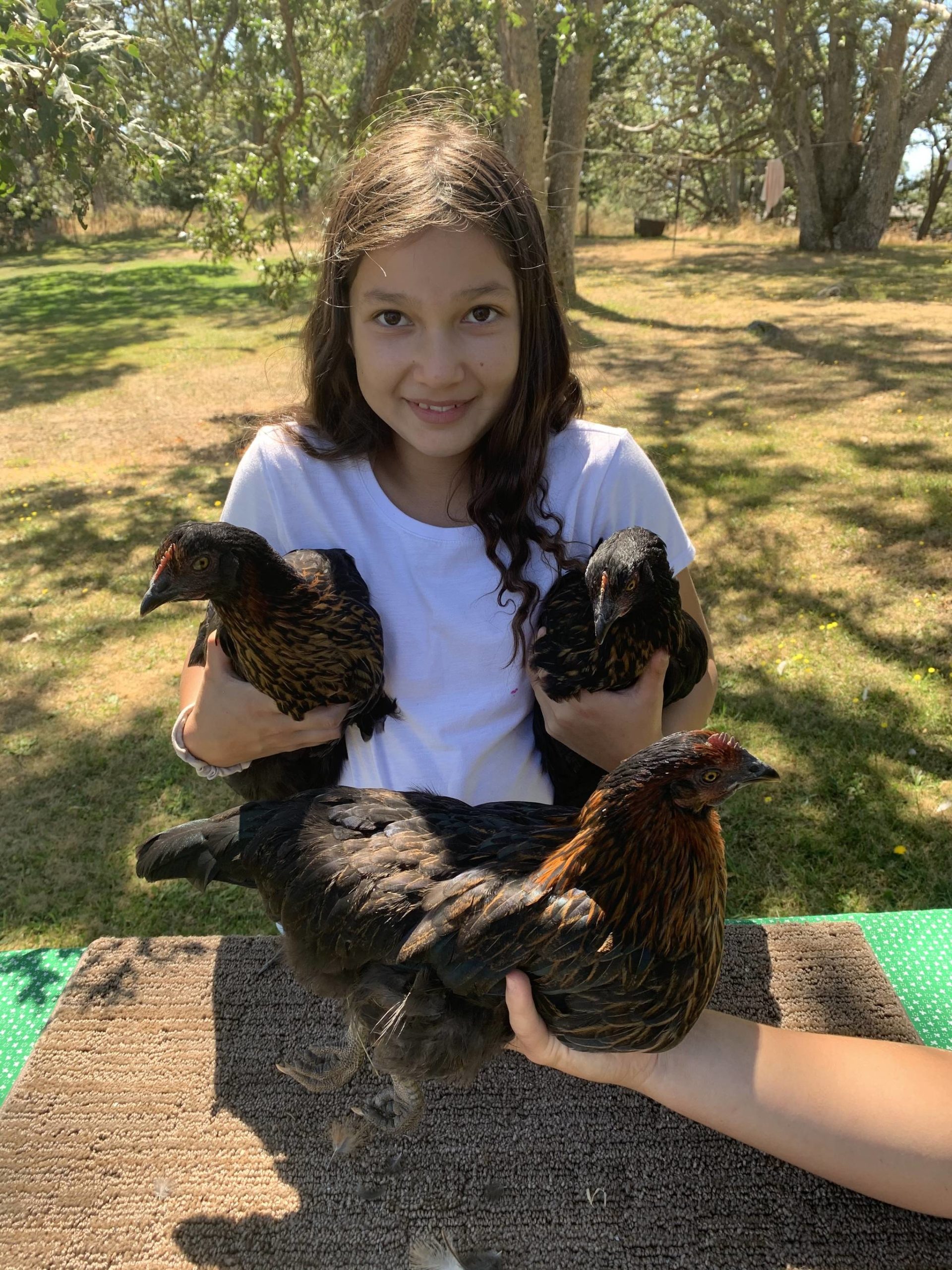 Sabine Bayas from San Juan Island with her blue ribbon pullet trio. (Contributed photo)
