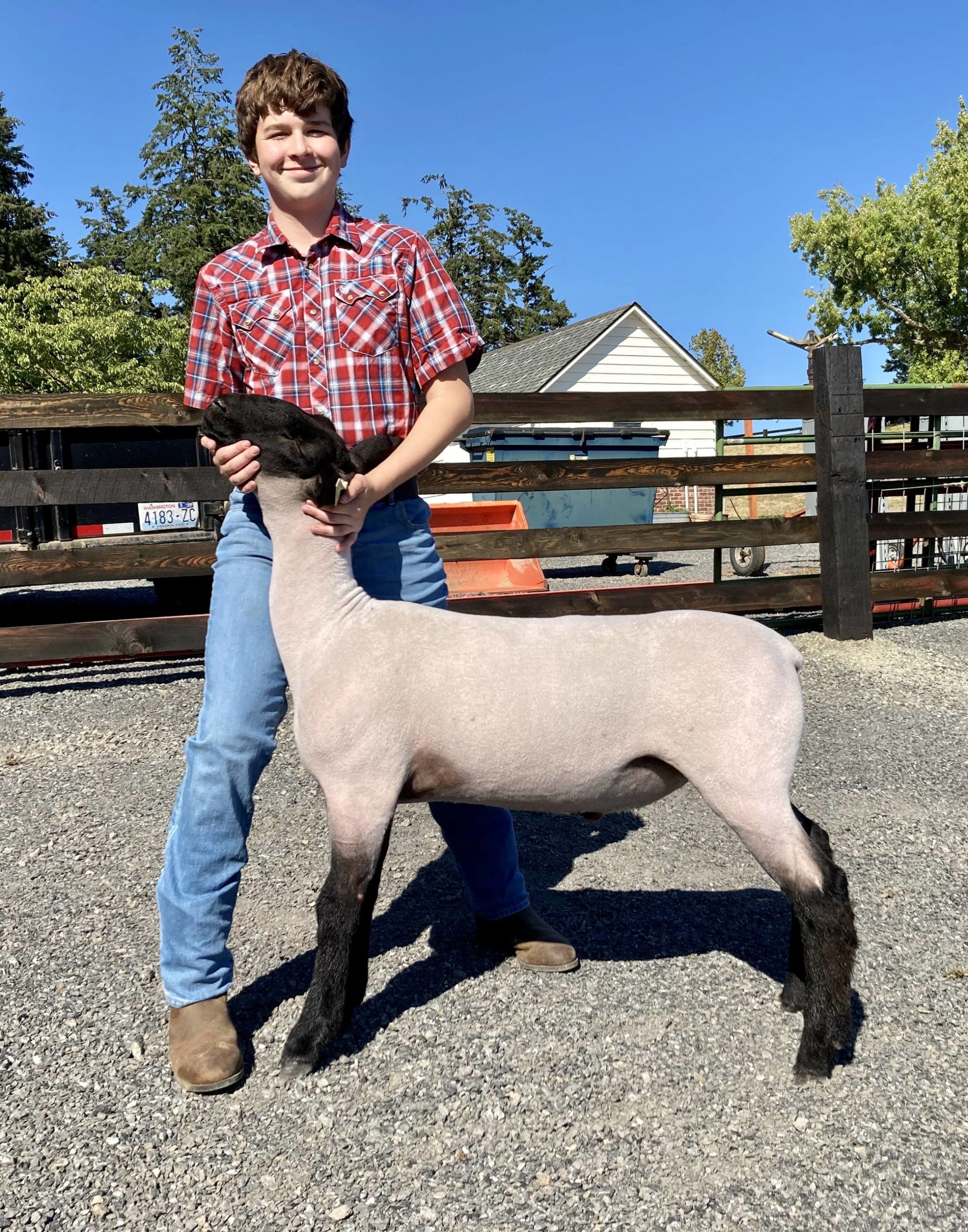 Anthony Amaro, from San Juan Island, won reserve grand champion with his market lamb. (Contributed photo)