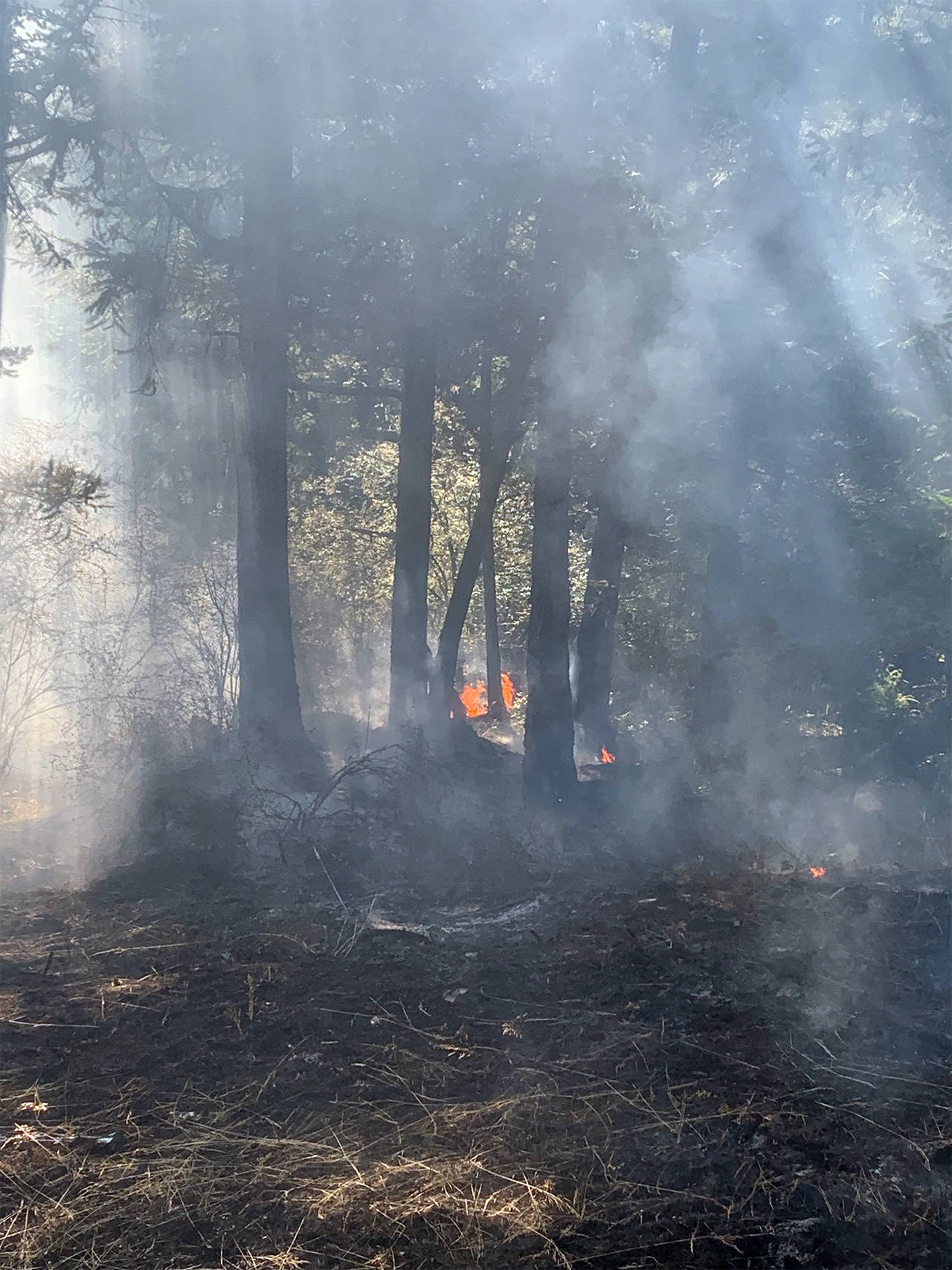 Orcas, Lopez and San Juan Fire team up with DNR for wildfire