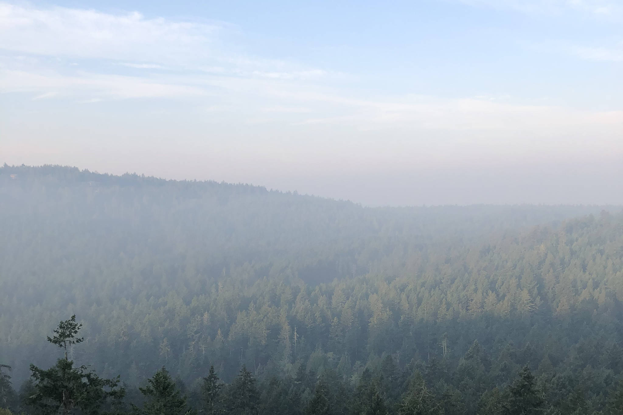 A smoky view from atop Mount Grant. (Emillie Novak/staff photo)