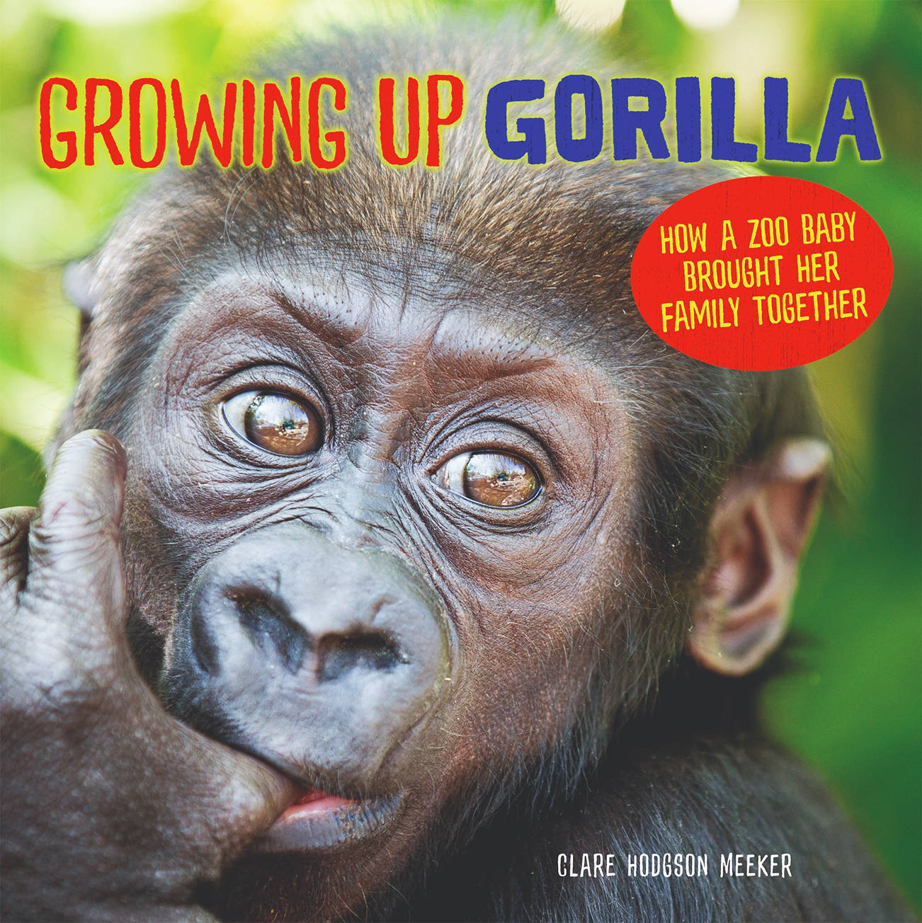 ”Growing Up Gorilla,” by Clare Hodgson Meeker. (Contributed photo)
