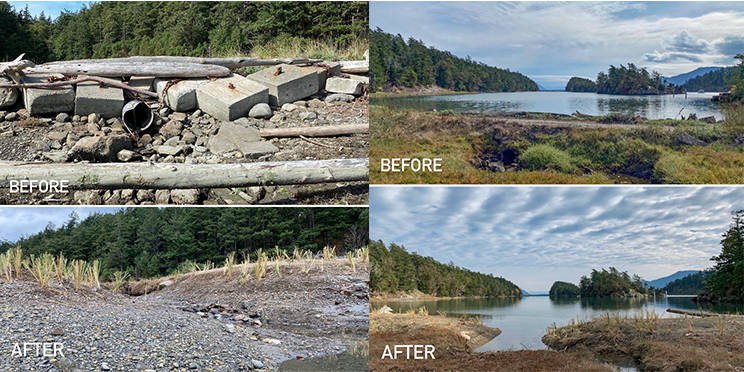 Washington Department of Ecology photo
2018 grant cycle funded Mudd Bay/Sucia island habitat restoration project. Pocket beaches are a critical thing for juvenile salmon.