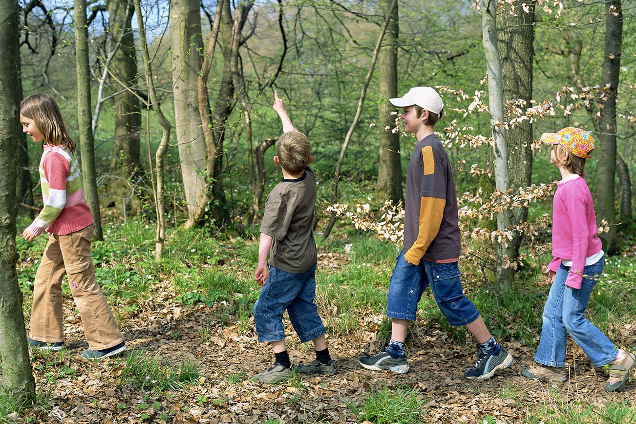 metro creative stock