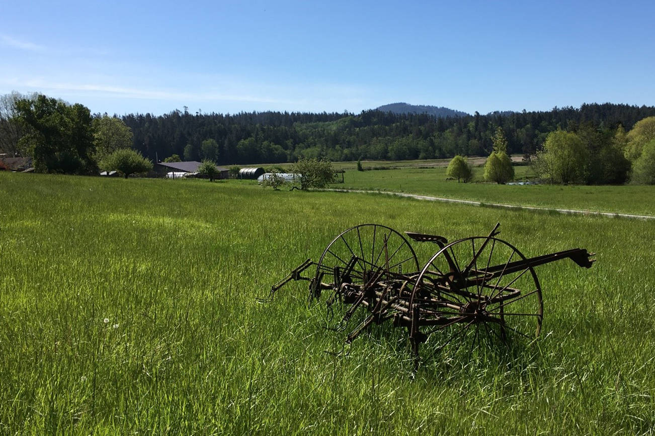 Coffelt Farm report now available for public viewing and comments to