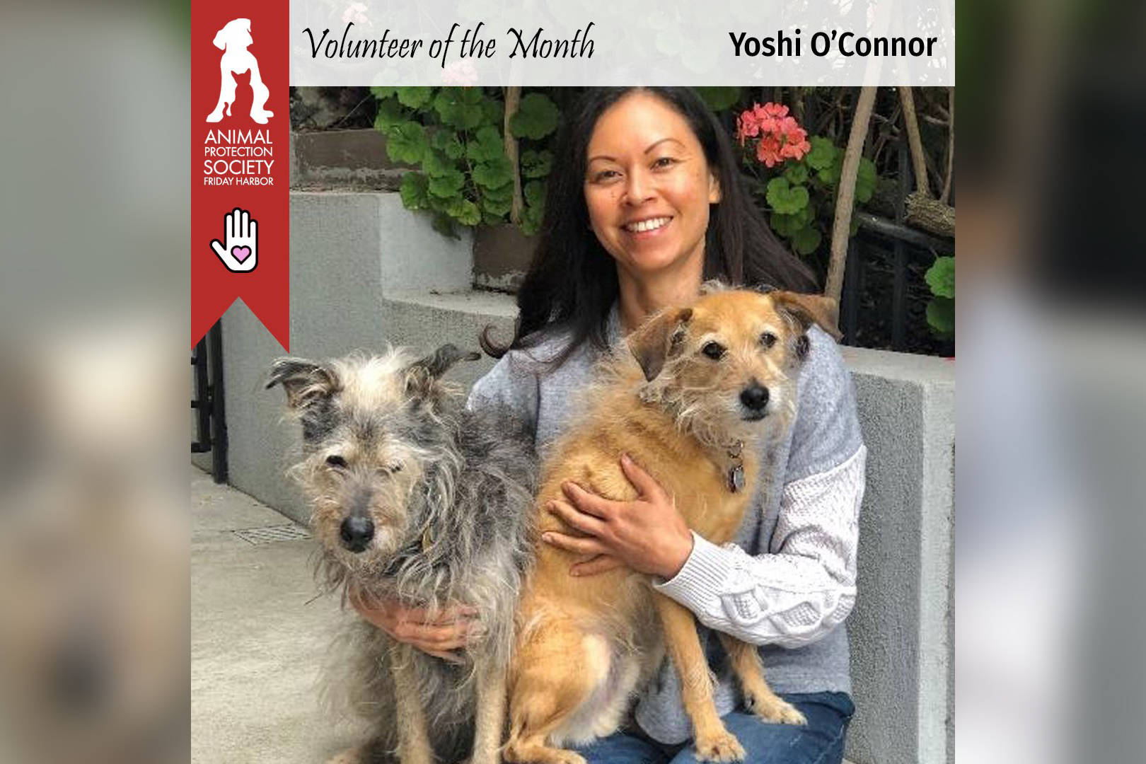 Yoshi with her rescue dogs, Schatzie and Grizzly.