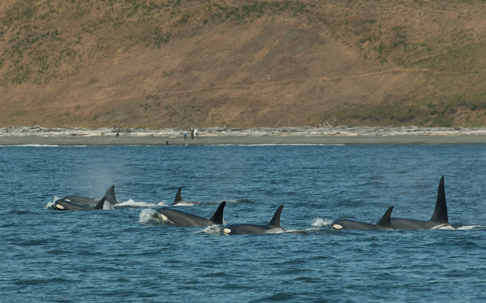 Photo credit: Katie Jones