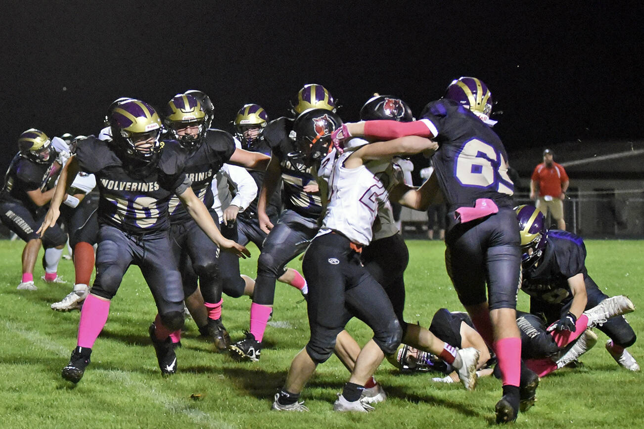 Wolverines Max Fields, #65, and Nathan Posenjak, #10, close in to stop Wolves running back. (John Stimpson photo)