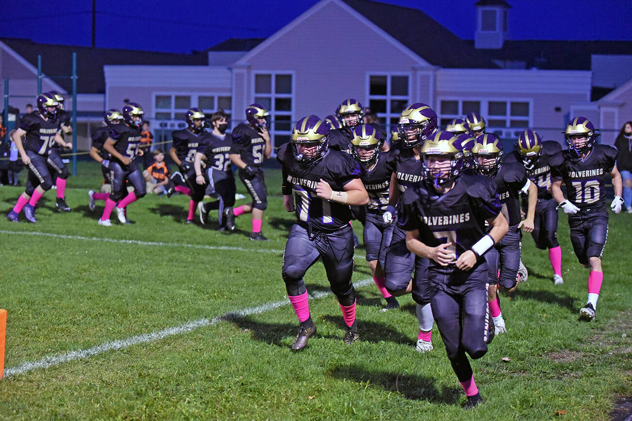 The mighty Wolverines take to the field for the start of the game. (John Stimpson photo)
