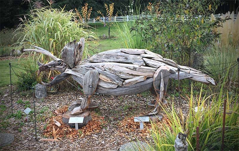 Contributed photo/Sara Tops by Joe Treat