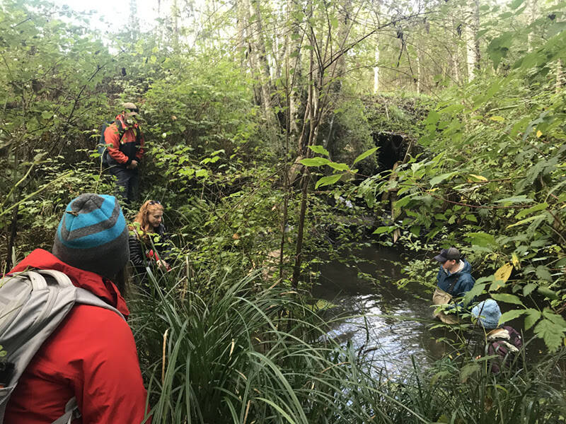 Contributed photo/Mariah Josten
Students exploring False Bay Creek.