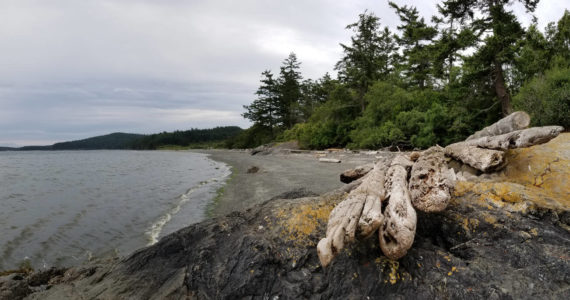 Contributed photo by Adam W. Ritchey. Fourth of July Beach on San Juan Island