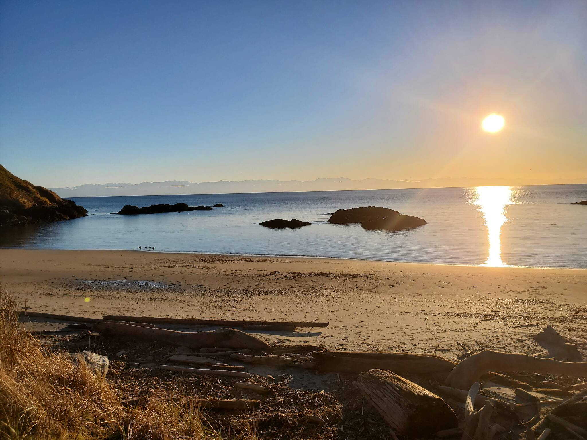 Contributed photo by Amy Nesler