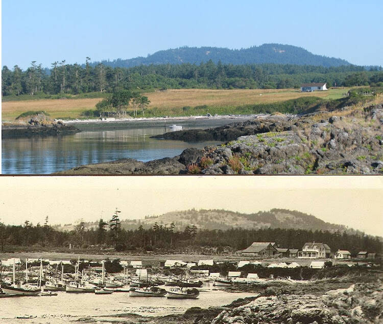 Contributed photo by Doug McCutcheon and the San Juan Island Historical Society and Museum 
Turtleback Mountain on Orcas, 1895 and again in approximately 2015